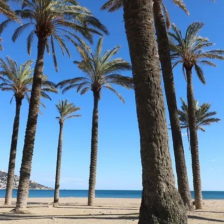 Mediterrani Apartamento *